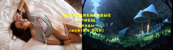 spice Алексеевка