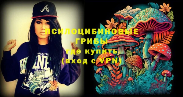 spice Алексеевка