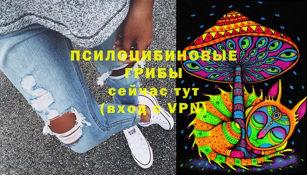 spice Алексеевка