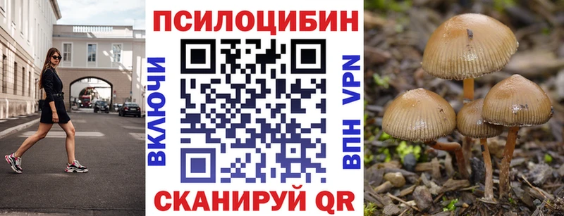 где купить   Геленджик  blacksprut ССЫЛКА  Псилоцибиновые грибы ЛСД 