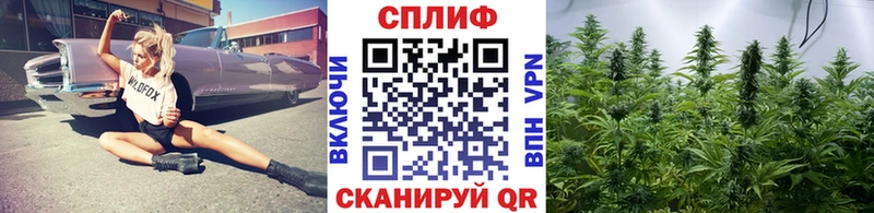 Канабис семена  хочу наркоту  Геленджик 